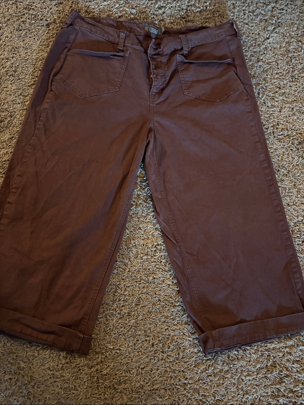 Torrid High Rise Wide Leg Crop Stretch Pants Button Fly Brown Size